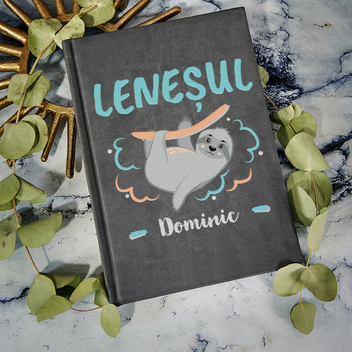 Leneșul - Caiet de notițe