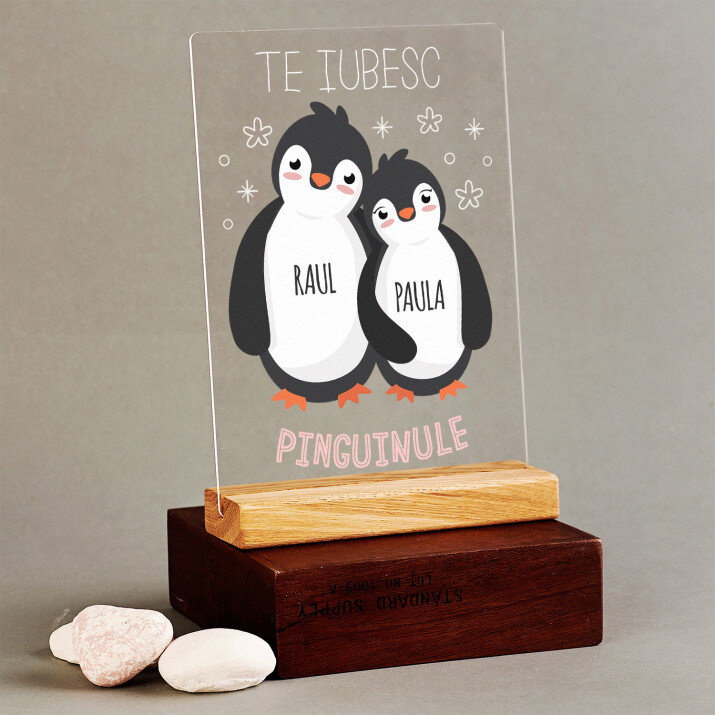 Pinguin - Imprimare pe sticlă acrilică