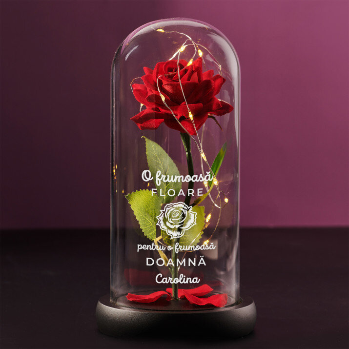 O frumoasă floare - Trandafirul etern în sticlă O frumoasă floare - Trandafirul etern în sticlă