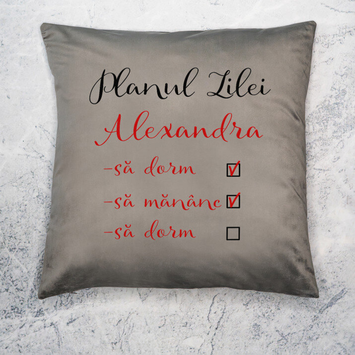 Planul zilei - Pernă