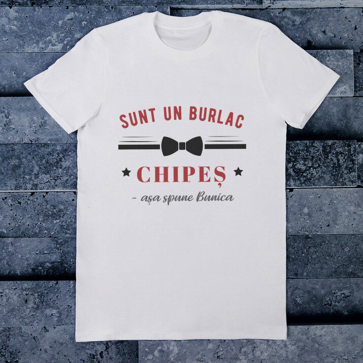 Burlac chipeș - Tricou pentru bărbați