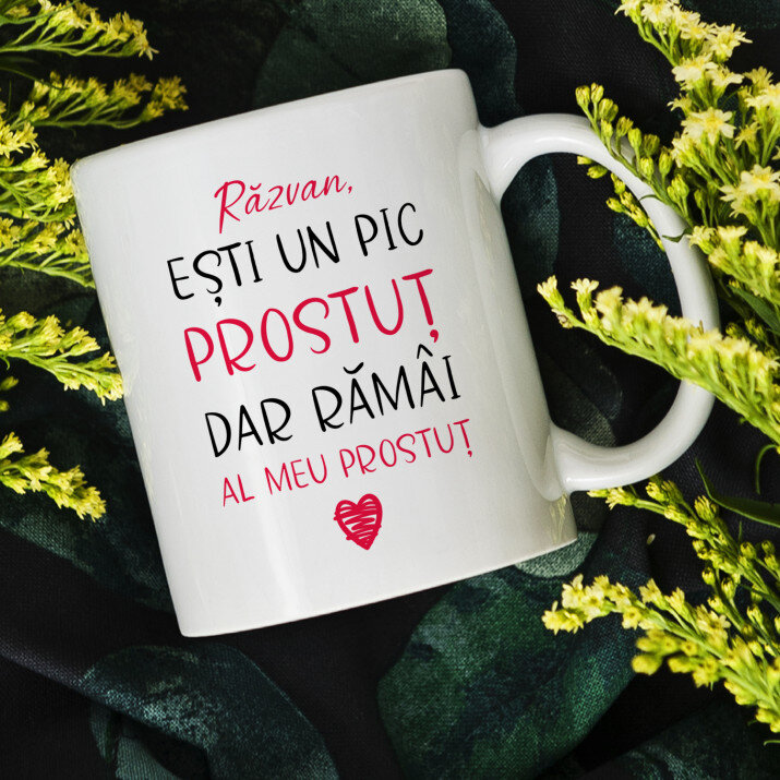 ești un pic prostuț - Cană