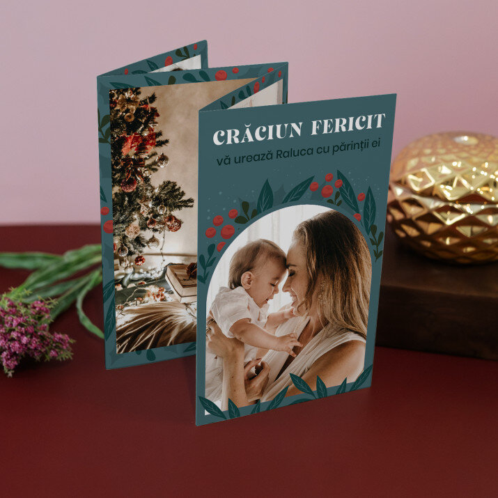 Crăciun frunze - Set mare fotografii pliante