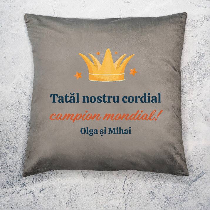 Tata campion  mondial - Pernă
