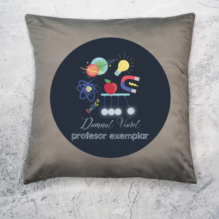 Profesor exemplar - Pernă