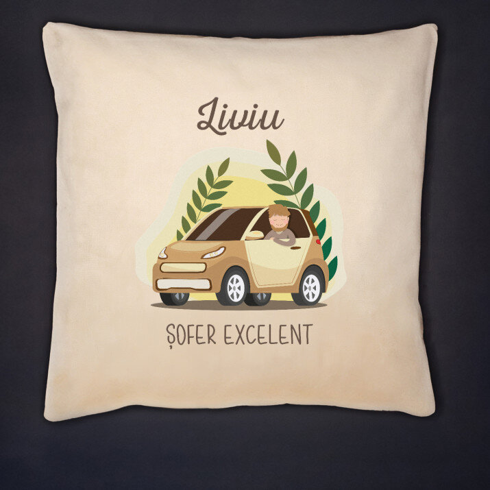 șofer excelent - Pernă