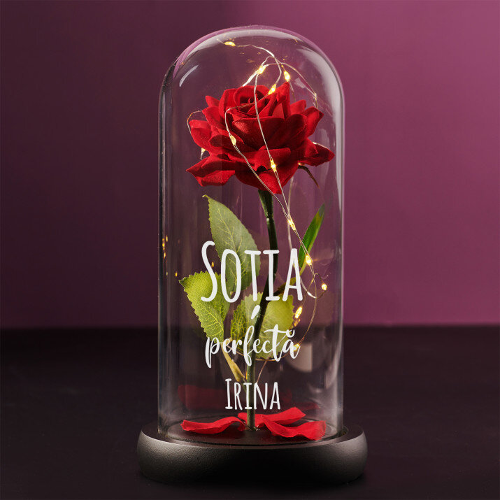 Soția perfectă - Trandafirul etern în sticlă
