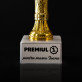 Premiul 1 - Cupă aurie