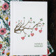 Arborele genealogic - Album Foto