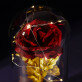 Amprente digitale - Trandafirul etern în sticlă