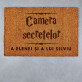 Camera secretelor - Covoraș de intrare