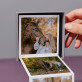 Calul prieten - Set  fotografii pliante