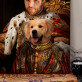 Regele cu animalul lui - Portret Regal Regele cu animalul lui - Portret Regal