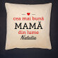 cea mai bună mamă din lume - Pernă