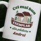 Cel mai bun exemplar din pădure - Cană 