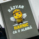 harnic ca o albină - Caiet de notițe