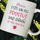 ești un pic prostuț - Cană