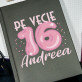 16 pe vecie - Caiet de notițe