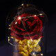 Trandafirul etern în sticlă